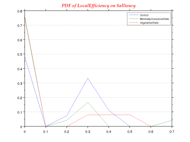 LocalEfficiency-0.0-PDF--Salliency.png
