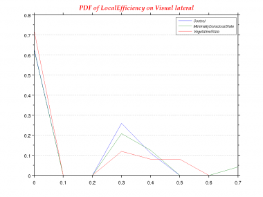 LocalEfficiency-0.0-PDF--Visual lateral.png